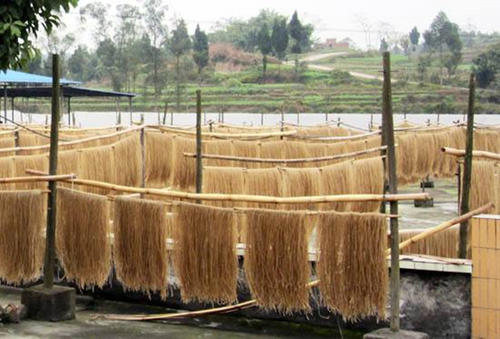 開辦一家粉條機廠，這幾個重要指標(biāo)要弄清!