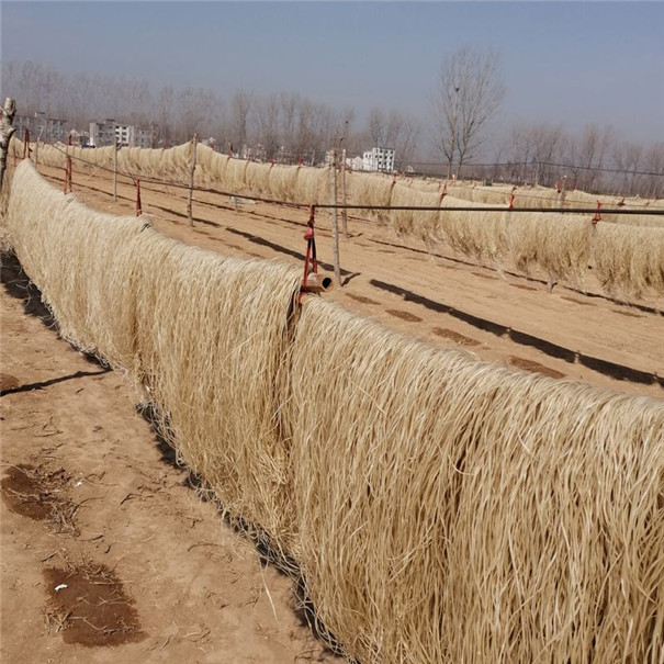 農村加工的粉條粉絲為何大受歡迎