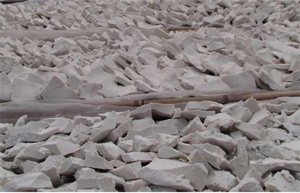 紅薯粉絲加工，原料怎么選擇？