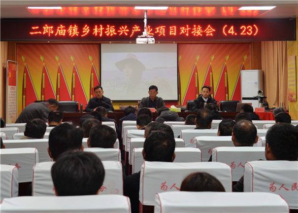 鄉村振興推介會 鄉村振興推介會