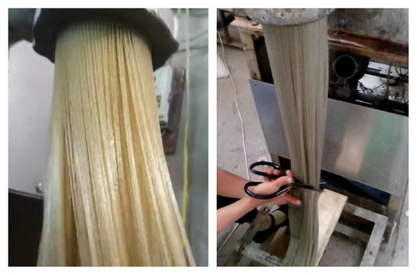 粉條機加工工藝及流程大全，擠出式的粉條制作方法很簡單！