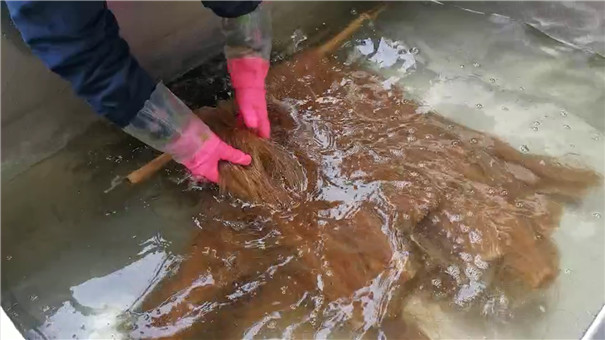 小型半自動的粉條機需要人工晾曬干燥，粉條干燥前的處理有哪些？