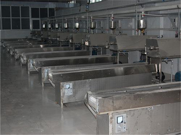 選擇粉條機廠家的注意事項