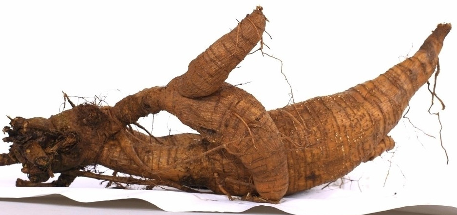 葛粉加工的5大工藝難點和解決方案 葛粉加工的5大工藝難點和解決方案