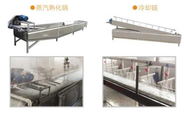 辦粉條加工廠，機械設備的選擇與布置你要了解！