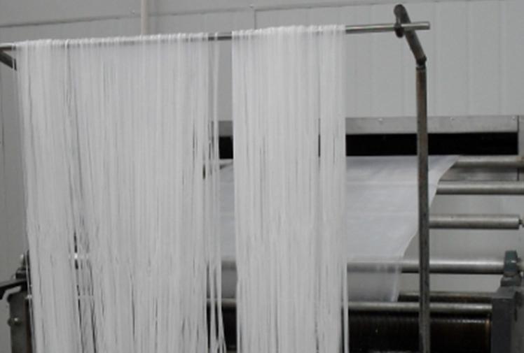 涂布式粉條機(jī)，粉品加工行業(yè)的好助手