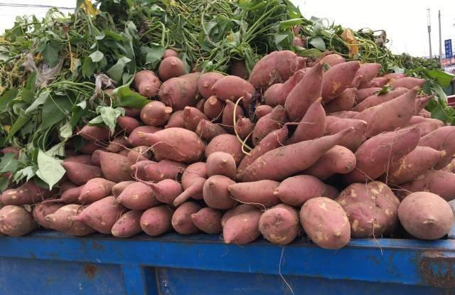  想要投資開辦粉條廠，首先這3個問題要搞清楚！不然就虧大了