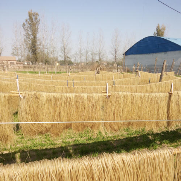 紅薯粉絲粉條加工產(chǎn)業(yè)發(fā)展中普遍存在的問(wèn)題