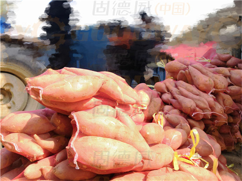 預(yù)算有限,加工量小的如何選擇紅薯粉條機?這幾種可能適合你 預(yù)算有限,加工量小的如何選擇紅薯粉條機?這幾種可能適合你