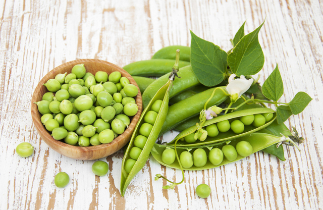 豌豆淀粉生產線