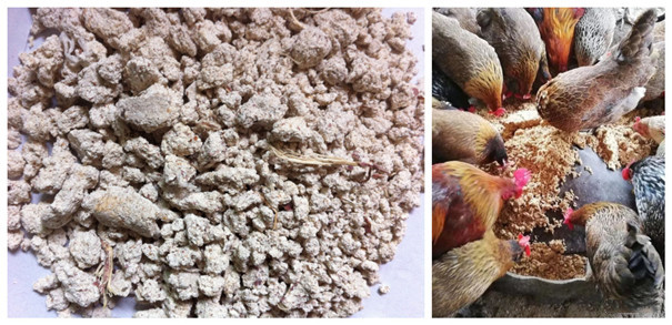 關(guān)于薯類(lèi)淀粉廢水處理的建議分析