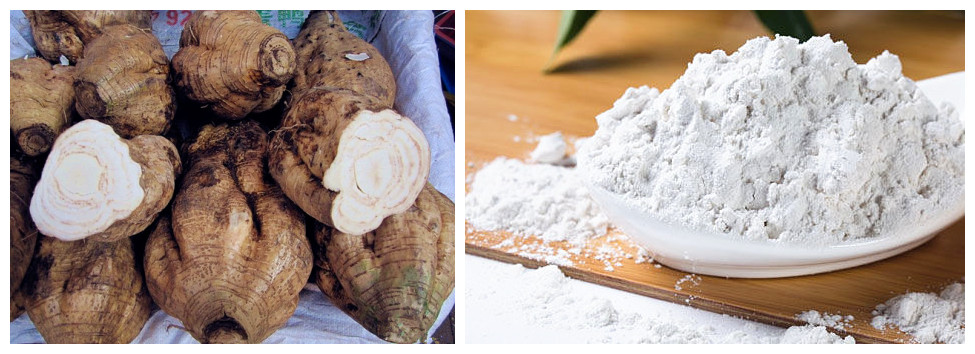 自動化葛粉加工工藝特點及技術裝備 自動化葛粉加工工藝特點及技術裝備