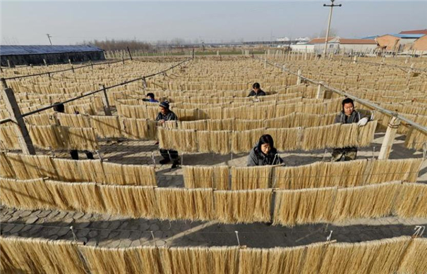 紅薯粉條加工-晾曬場 紅薯粉條加工-晾曬場