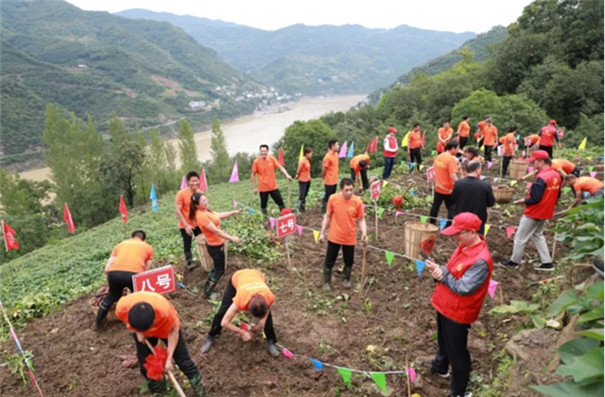 創業致富有新招,帶領鄉民開粉條廠!---記白河江榮食品的發展史 創業致富有新招,帶領鄉民開粉條廠!---記白河江榮食品的發展史