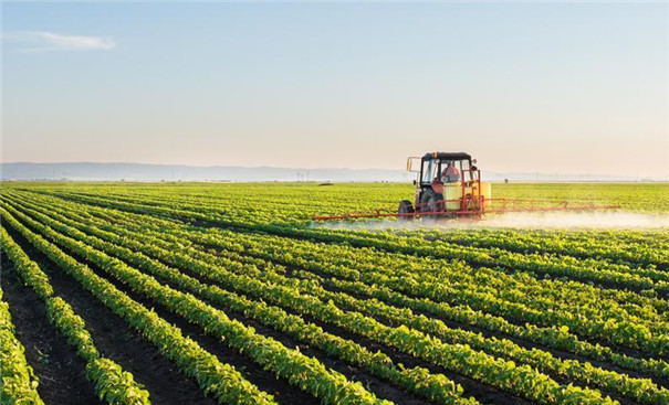 關(guān)于薯類(lèi)淀粉廢水處理的建議分析