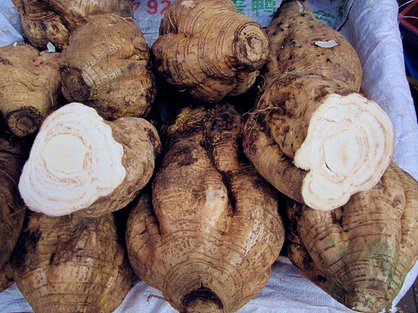 葛粉加工的5大工藝難點和解決方案 葛粉加工的5大工藝難點和解決方案