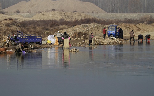 粉條機的市場前景分析