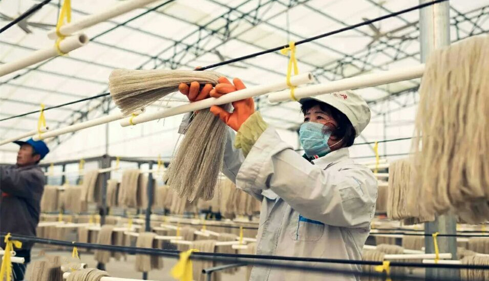 2021年，適合農村開辦的小型粉條加工廠需要哪些準備工作？