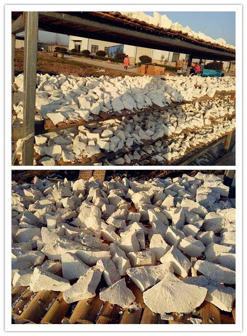 淀粉加工中常用的四種干燥方法