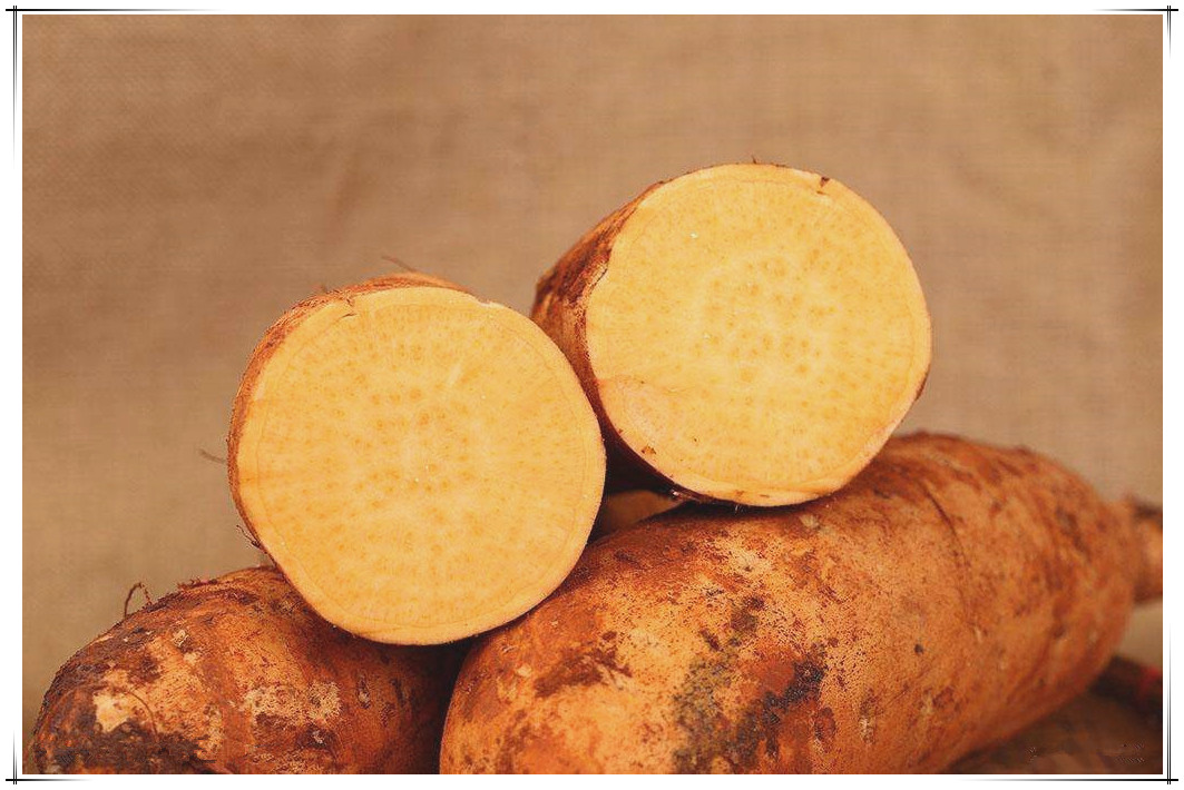 紅薯對人體究竟有哪些益處呢？