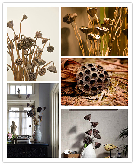 timg (2)_副本36457.jpg