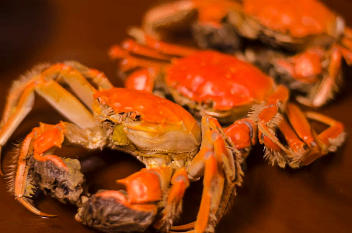 紅薯和它天生是“仇敵” 不要貪嘴同食 趕快告訴家人! 紅薯和它天生是“仇敵” 不要貪嘴同食 趕快告訴家人!